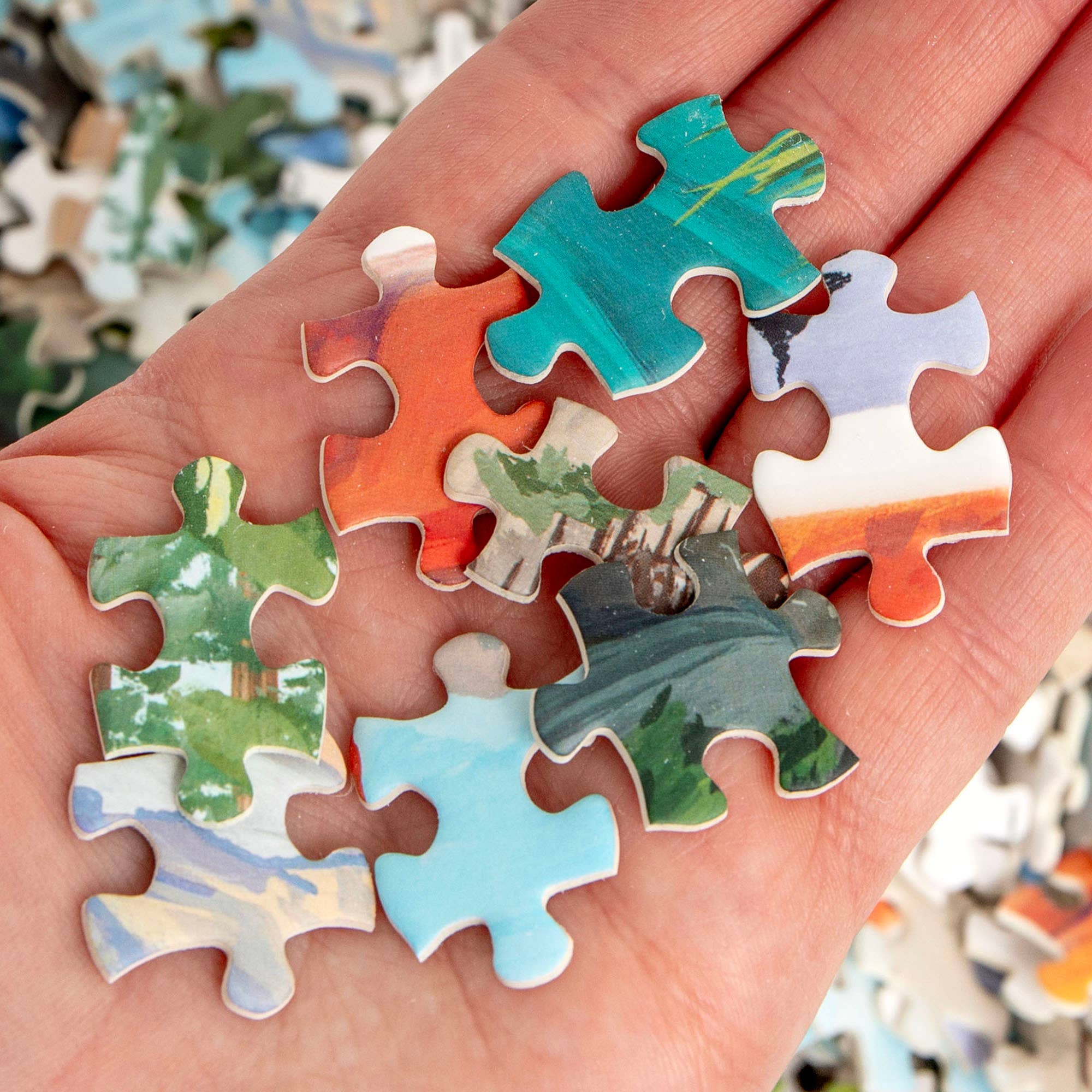Hand holding pieces from the National Parks - 1,000 Piece Jigsaw Puzzle showing trees, sky, and a sunset.