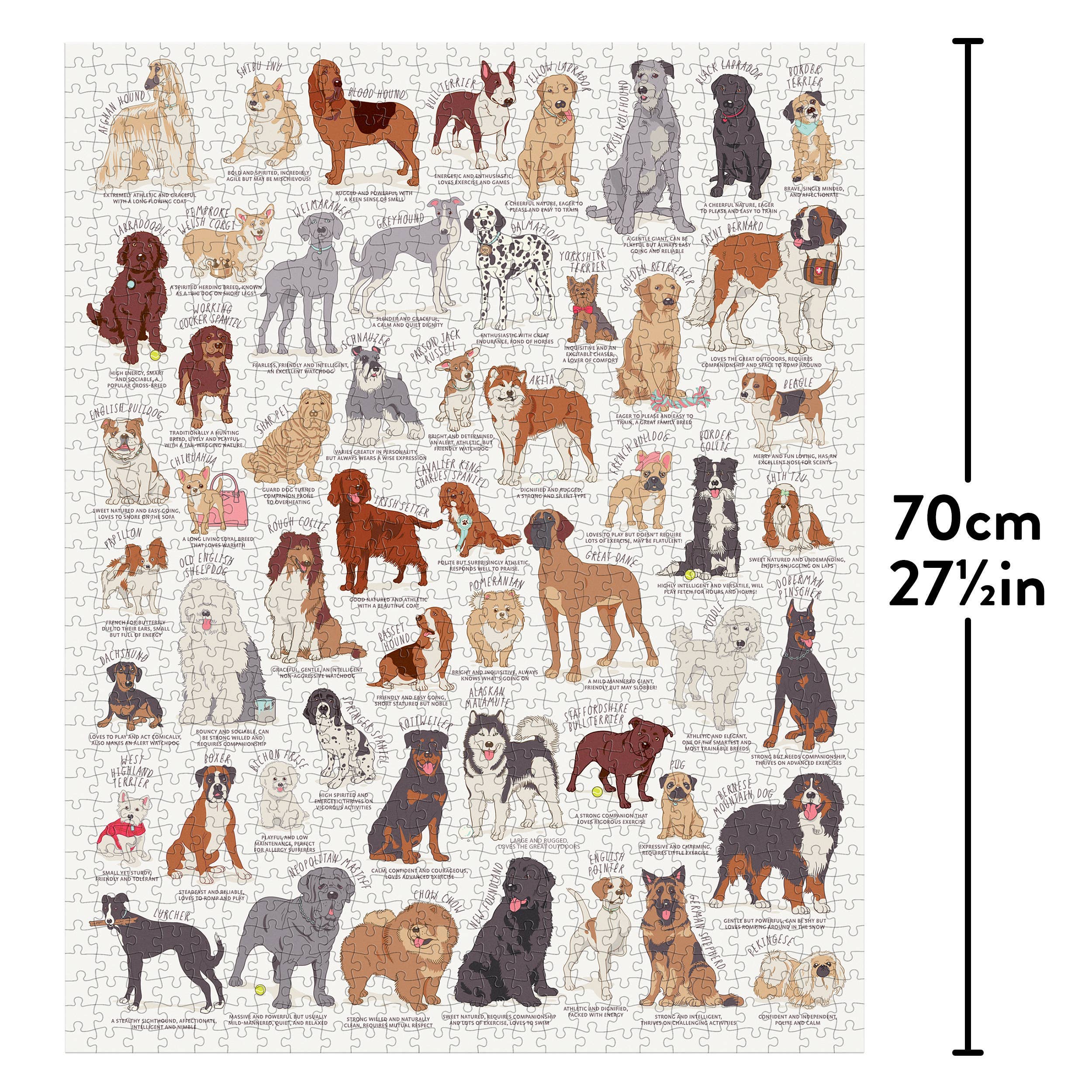 Dog Lovers 1000 Piece Jigsaw Puzzle showing illustrated dog breeds with labels, puzzle height 70cm next to ruler.
