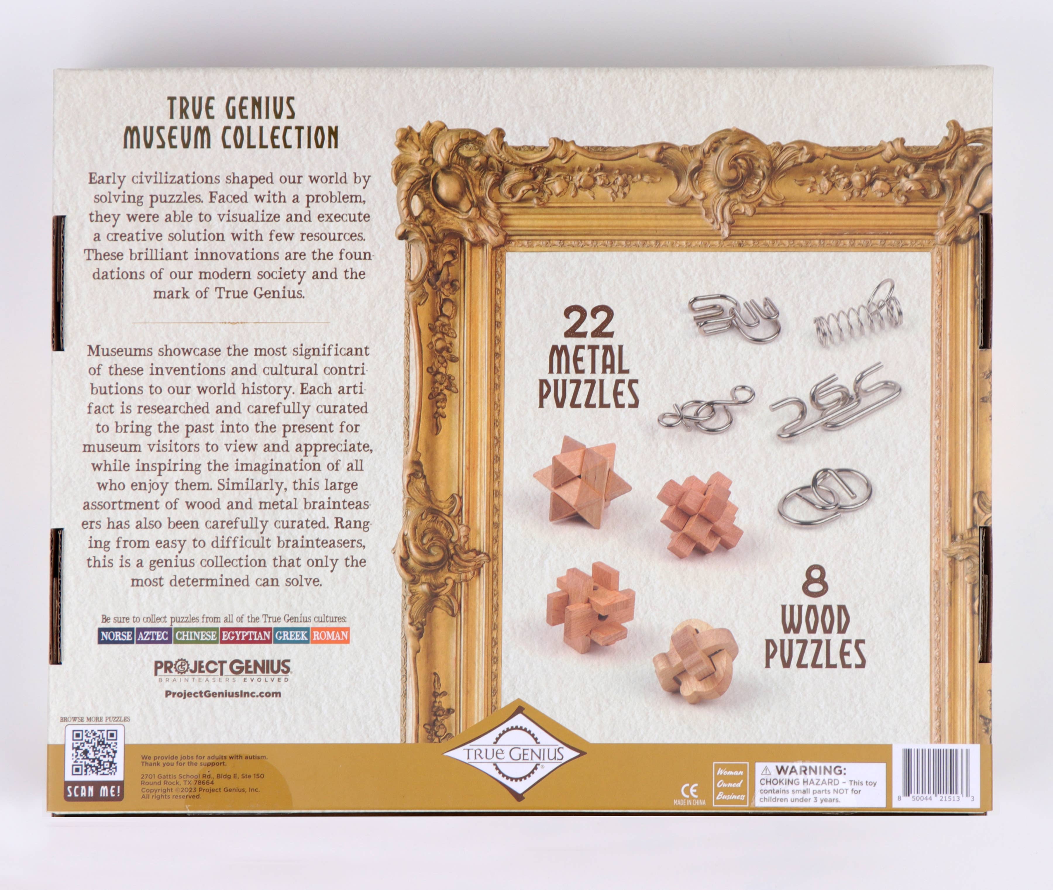 Back of True Genius Museum Collection 30-piece gift set with 22 metal and 8 wood brainteasers in a gold frame.