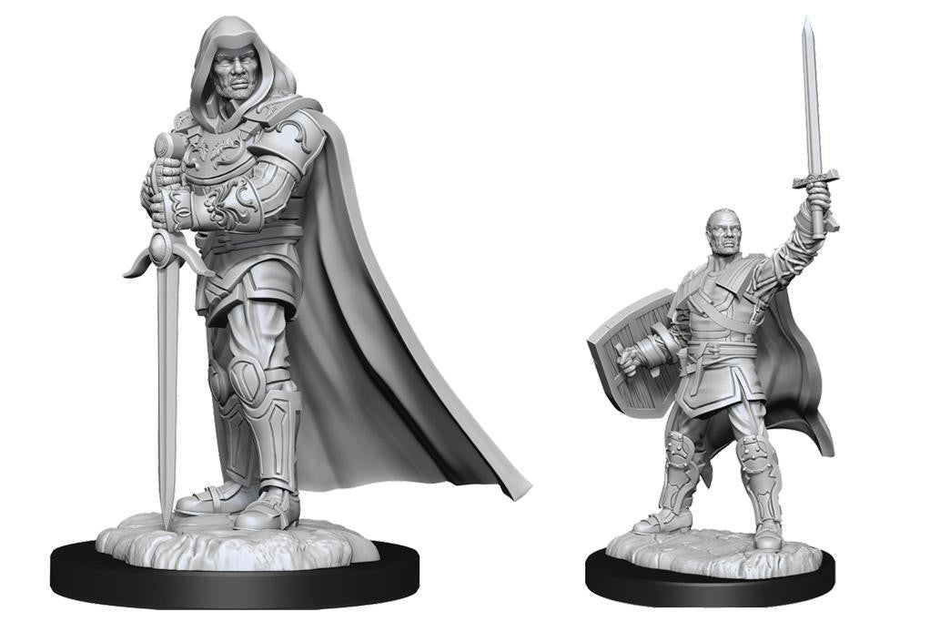 Two unpainted D&D NMU Human Paladin Male W14 miniatures in armor with swords and capes, each on a base.