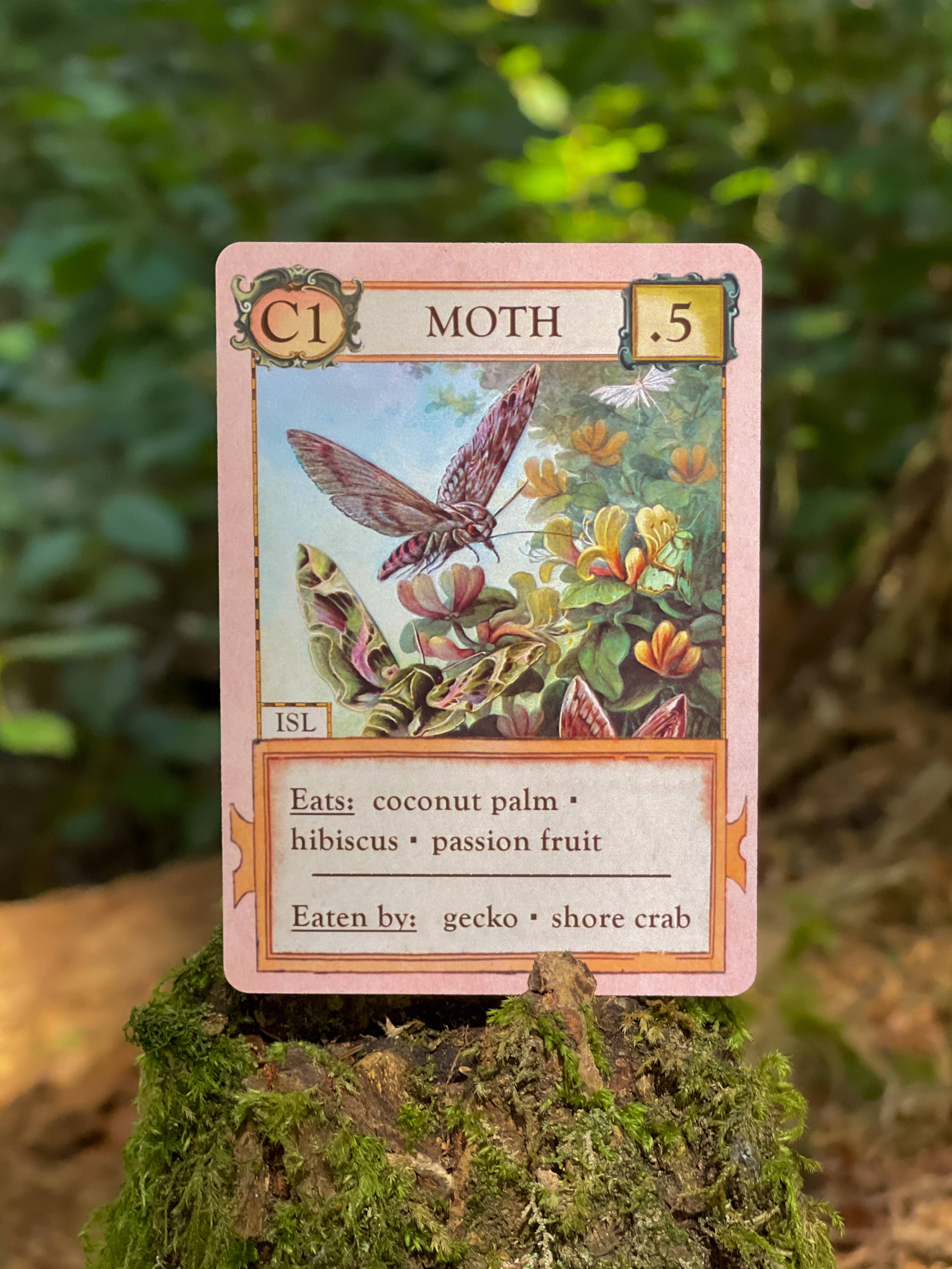 Ecologies: Hidden Habitats Card Game card showing a moth, food web, and predators on a mossy forest stump.