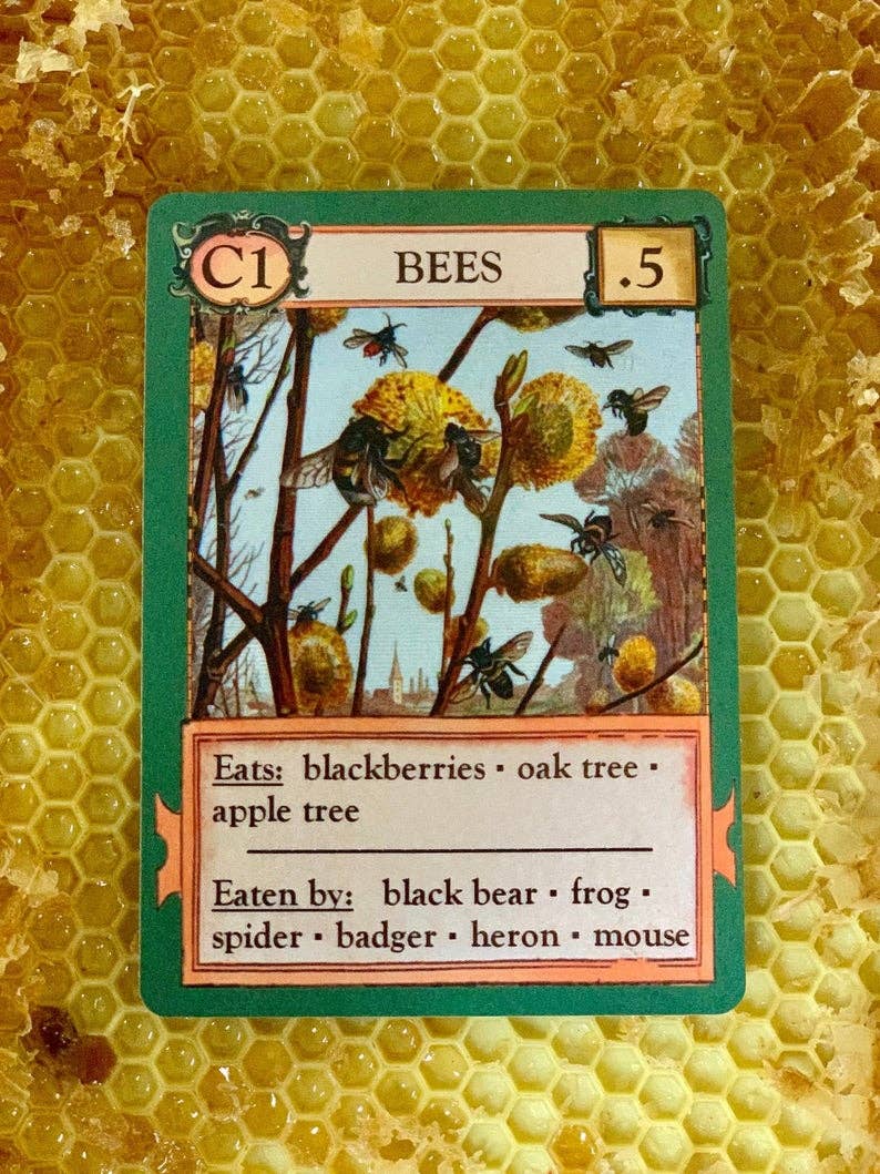 Bees card from Ecologies Card Game with information on bee diets and predators.