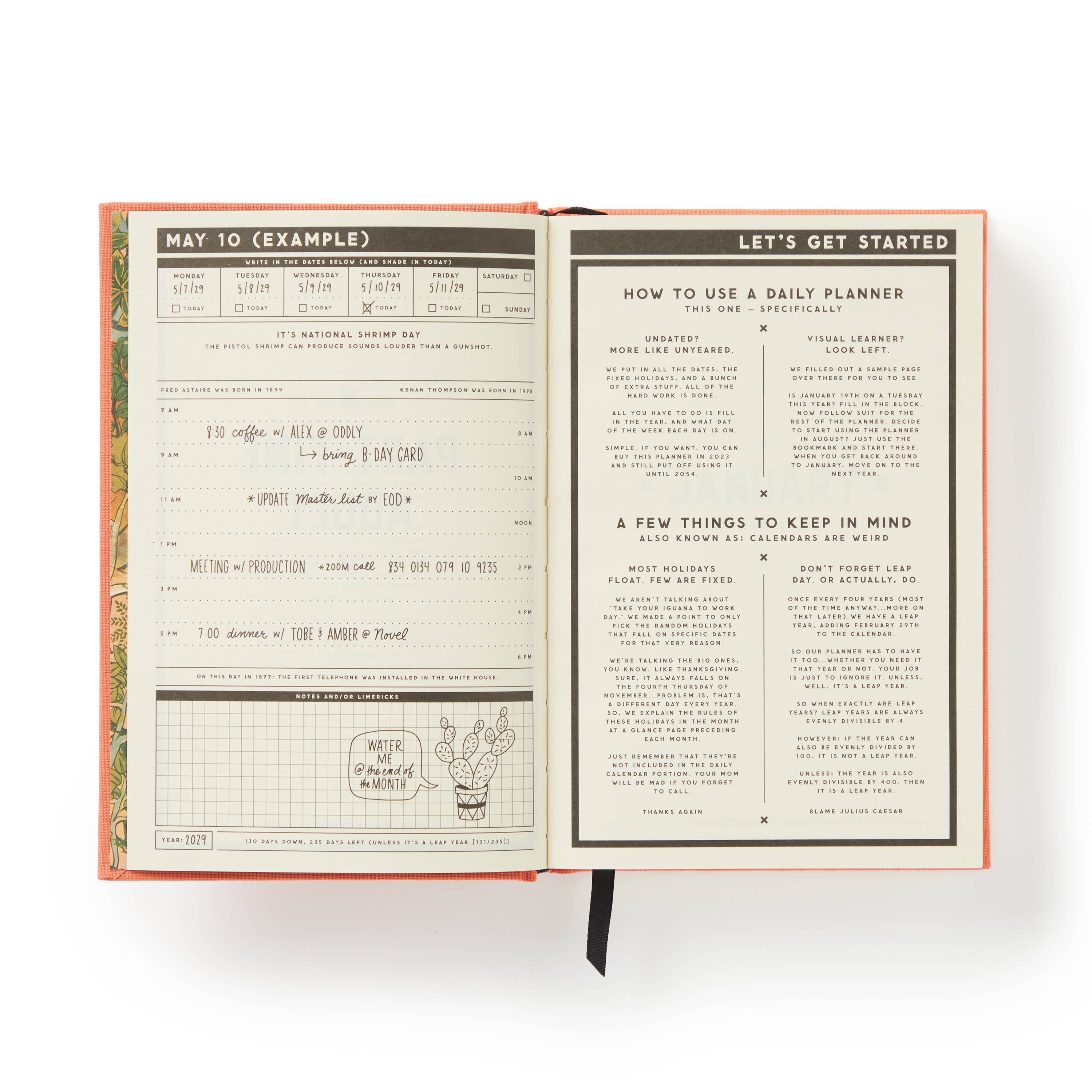 Brass Monkey Part-Time Adult Undated Daily Planner open to a daily page and instructions.