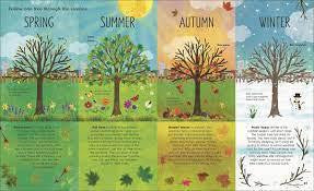 The Magic & Mystery of Trees book showing a tree through seasons with information on tree science and communication.