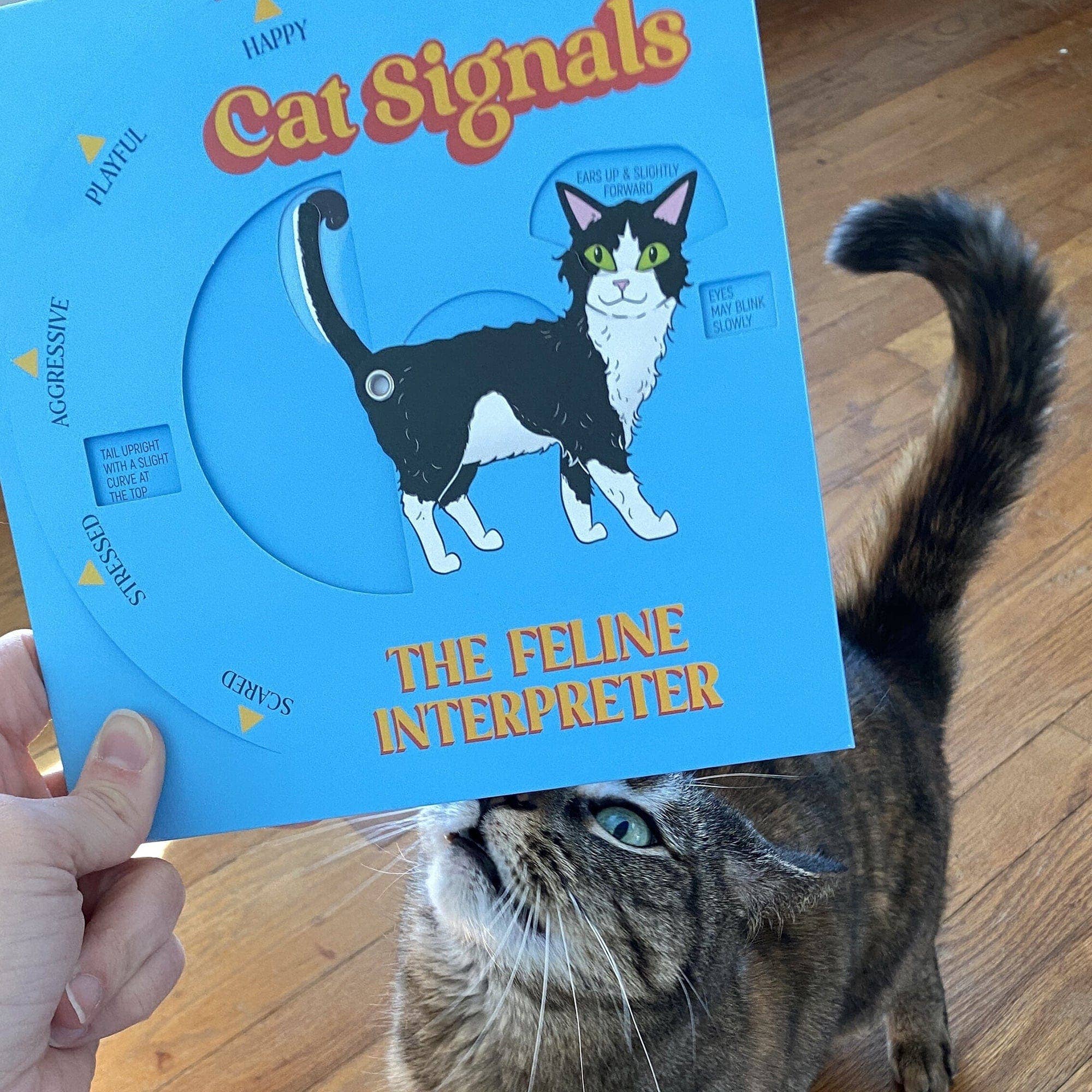 Cat Signals: The Feline Interpreter Wheel held by a hand near a cat.