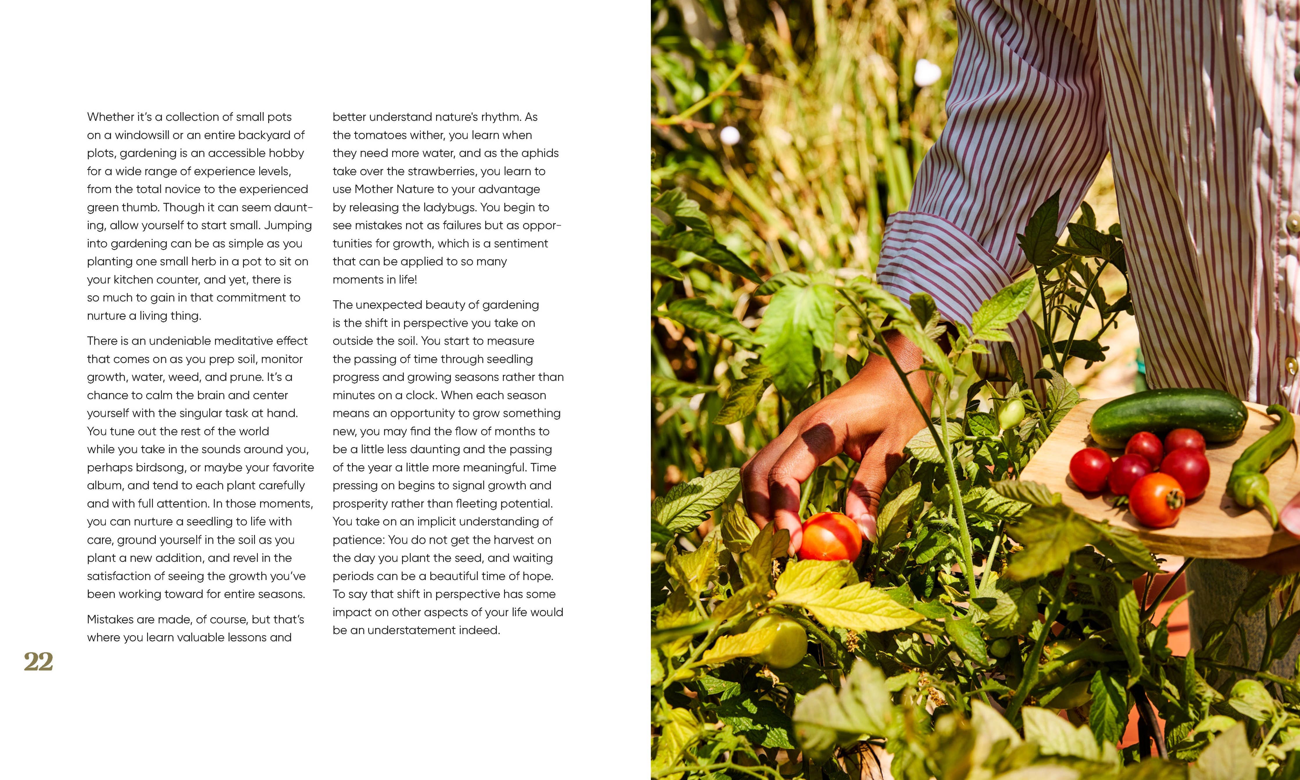 Person picking tomatoes and holding cucumbers in a garden.
