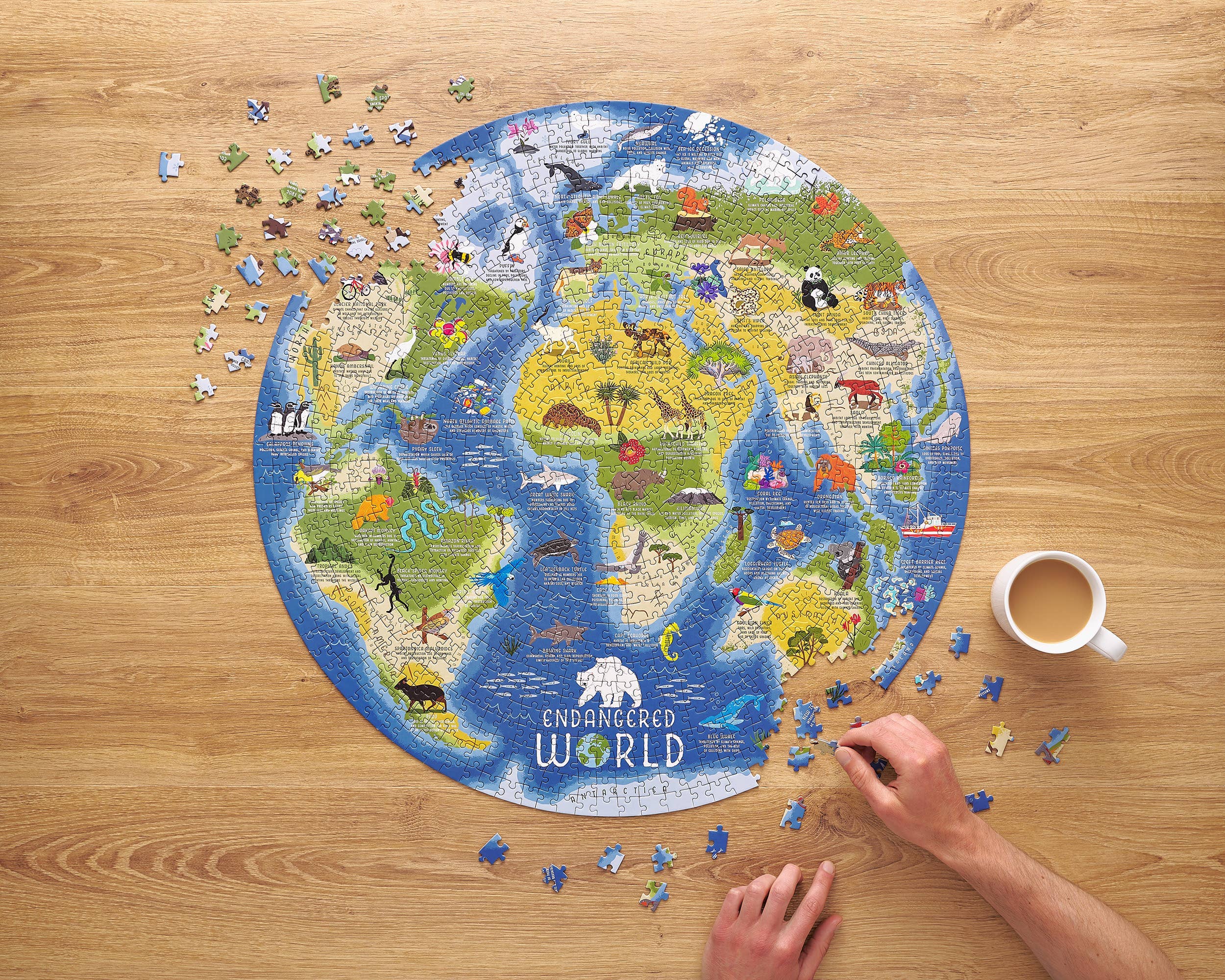 The Endangered World 1000 Piece Jigsaw Puzzle partially assembled on a wooden table next to a coffee cup.