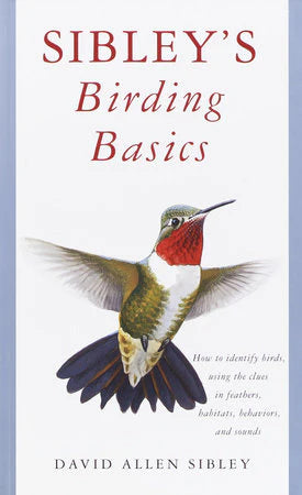 Sibleys Birding Basics book cover with a hummingbird illustration.
