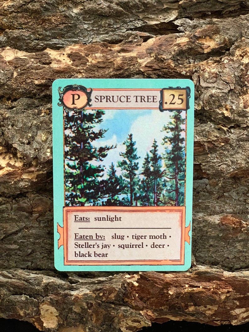 Spruce Tree card from Ecologies Card Game showing tree illustration, stats, and educational function.