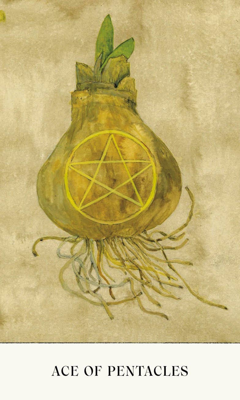 Ace of Pentacles card from Lindsay Mack’s Soul Tarot deck, featuring a yellow bulb with a pentacle and shoots on beige.