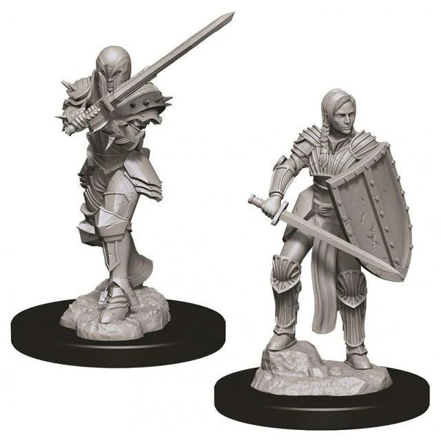 Two D&D: NMU Female Human Fighter W9 unpainted miniatures with swords on bases.