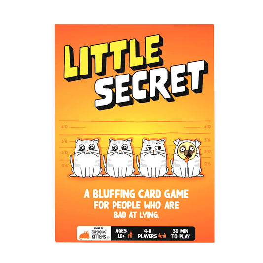 Little Secret family board game box featuring four cartoon cats, one in disguise, on an orange background.