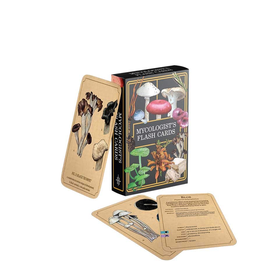 Mycologists Primer: Flash Cards box with illustrated magical mushroom cards arranged nearby.