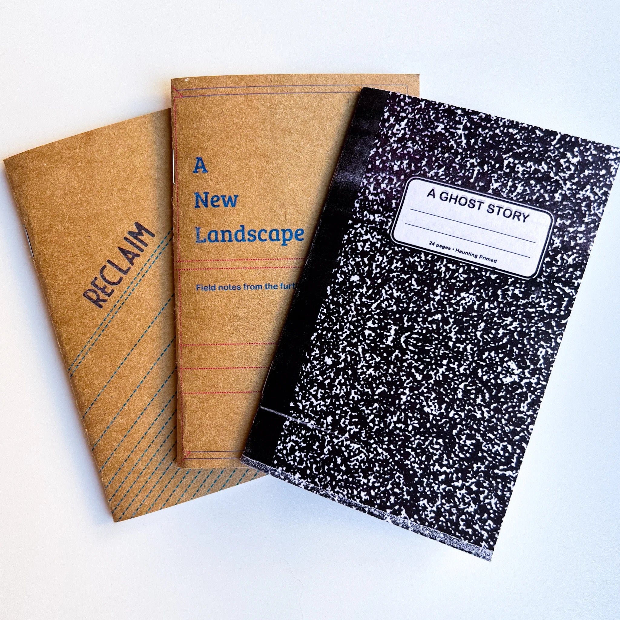 Three Strollplaying Field Notes notebooks: brown RECLAIM, tan A New Landscape, black A Ghost Story.