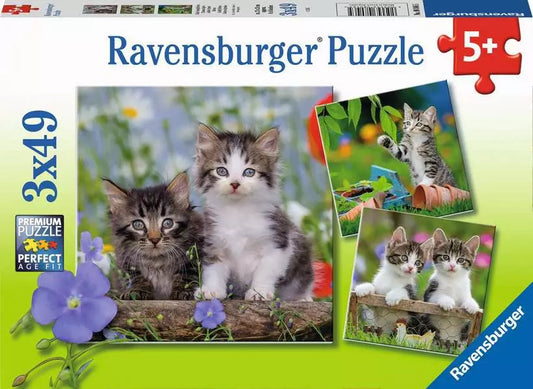 Tiger Kittens 3x49-piece puzzle with three kittens and flowers; for ages 5 and up.